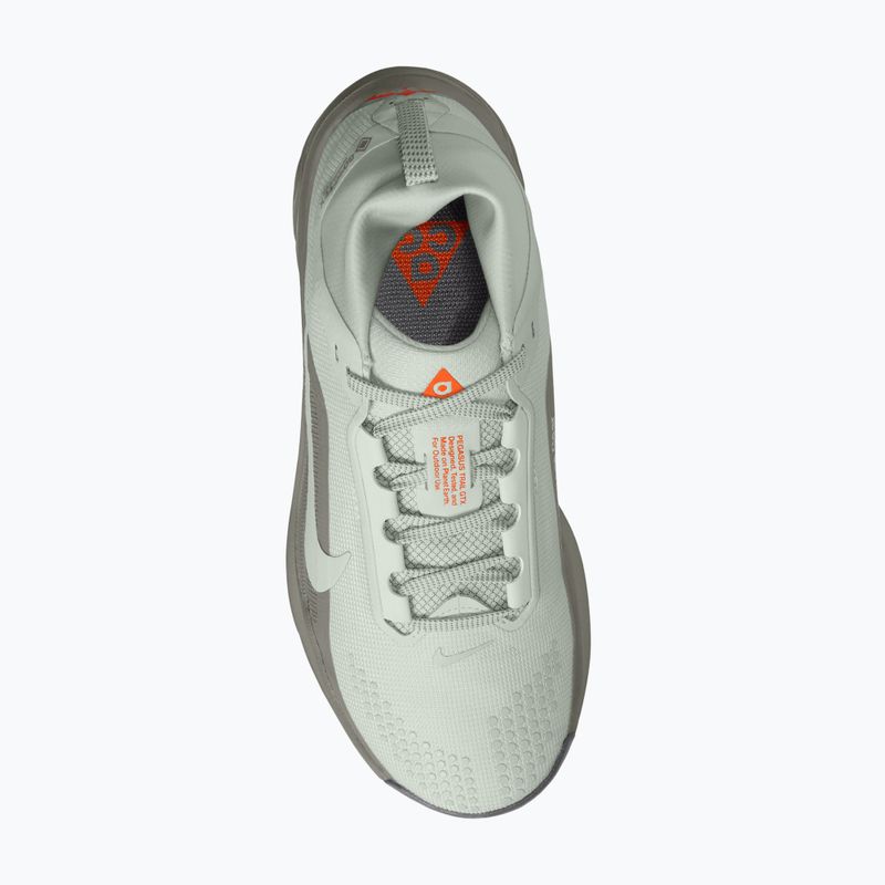Кросівки для бігу жіночі Nike ACG Pegasus Trail GORE-TEX Light Silver/Light Army/Light Silver 4