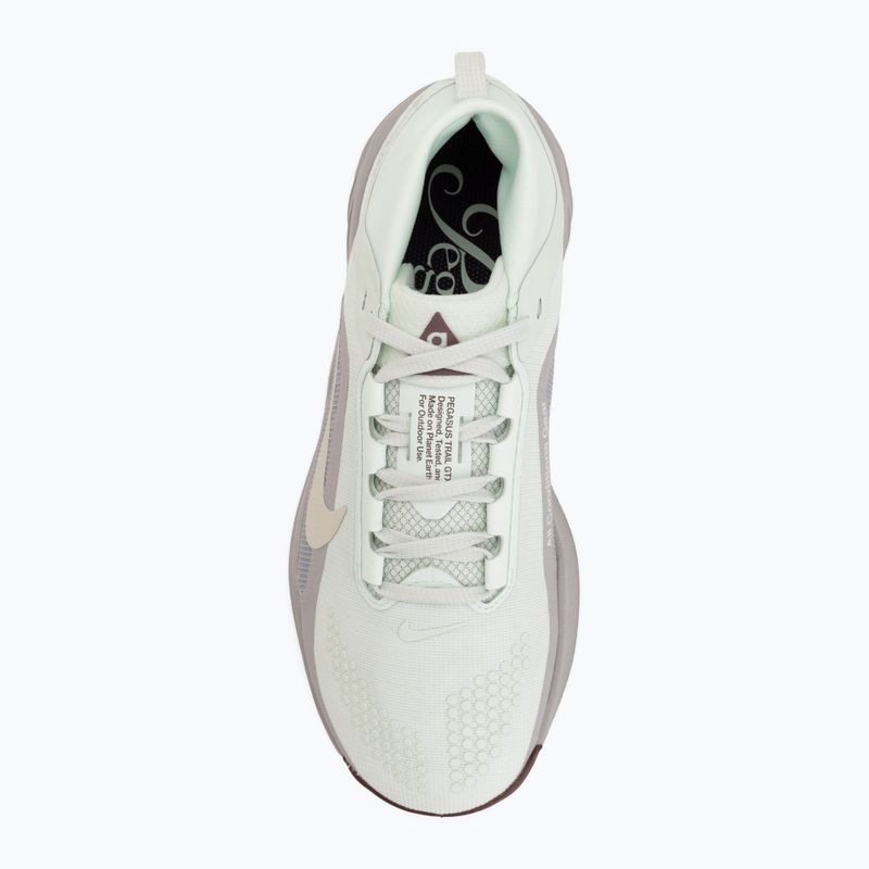 Кросівки для бігу жіночі Nike ACG Pegasus Trail GORE-TEX Barely Green/Silver Lilac/Light Bone 5