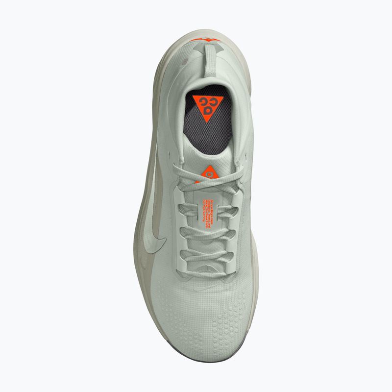 Кросівки для бігу чоловічі Nike ACG Pegasus Trail GORE-TEX Light Silver/Light Army/Light Silver 4