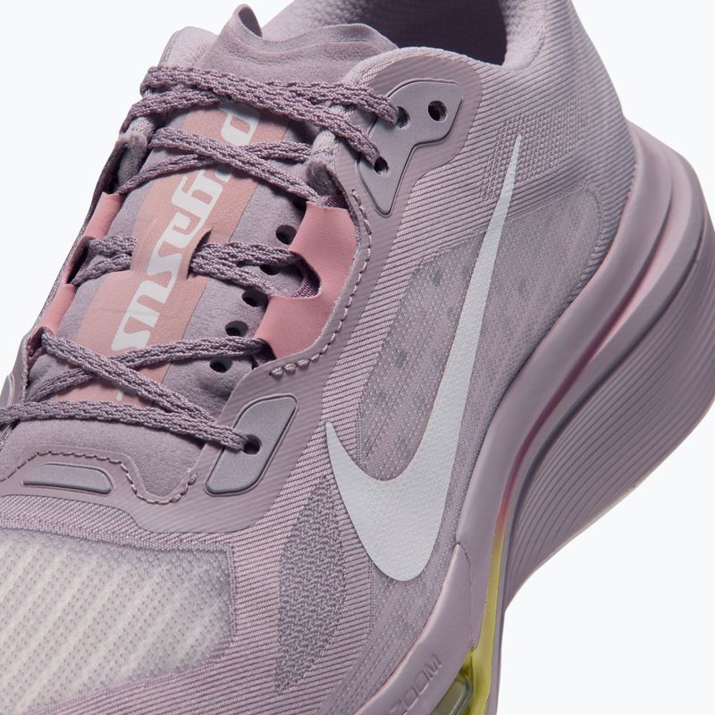 Кросівки для бігу жіночі Nike Pegasus Plus 2 silver lilac/particle rose/fennel/sail 5
