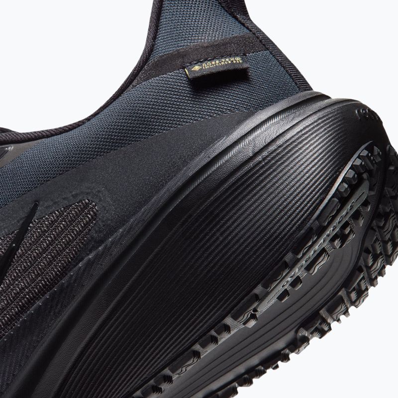 Кросівки для бігу чоловічі Nike Pegasus 42 GORE-TEX black/off noir/dark grey/black 6