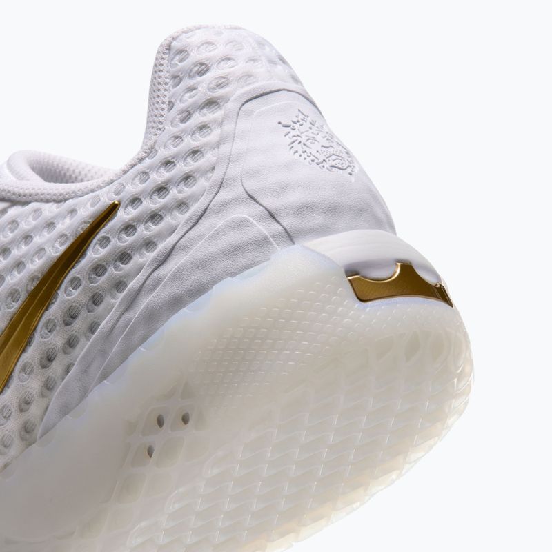 Кросівки для баскетболу чоловічі Nike LeBron Witness X white/white/photon dust/metallic gold 5