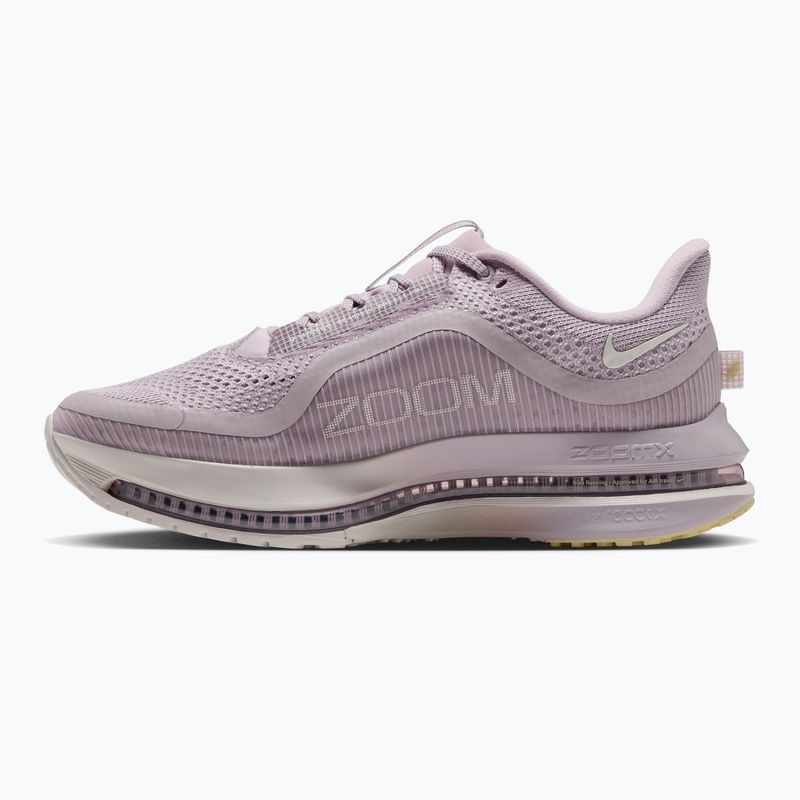 Кросівки для бігу жіночі Nike Pegasus Premium particle rose/silver lilac/sail 2