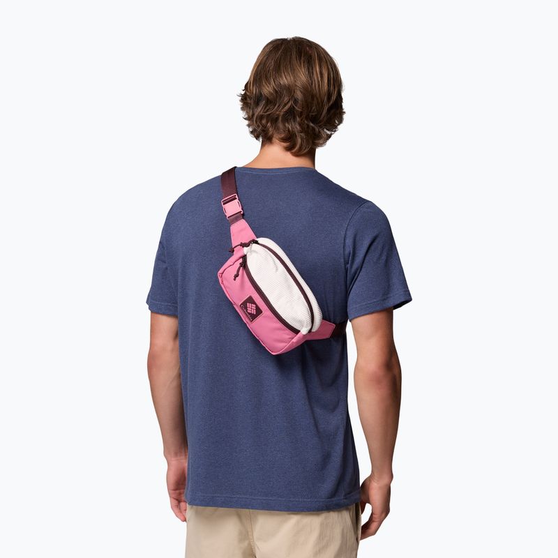 Сумка на пояс Columbia Trail Traveler Hip sea salt/rosette/moonvista 8