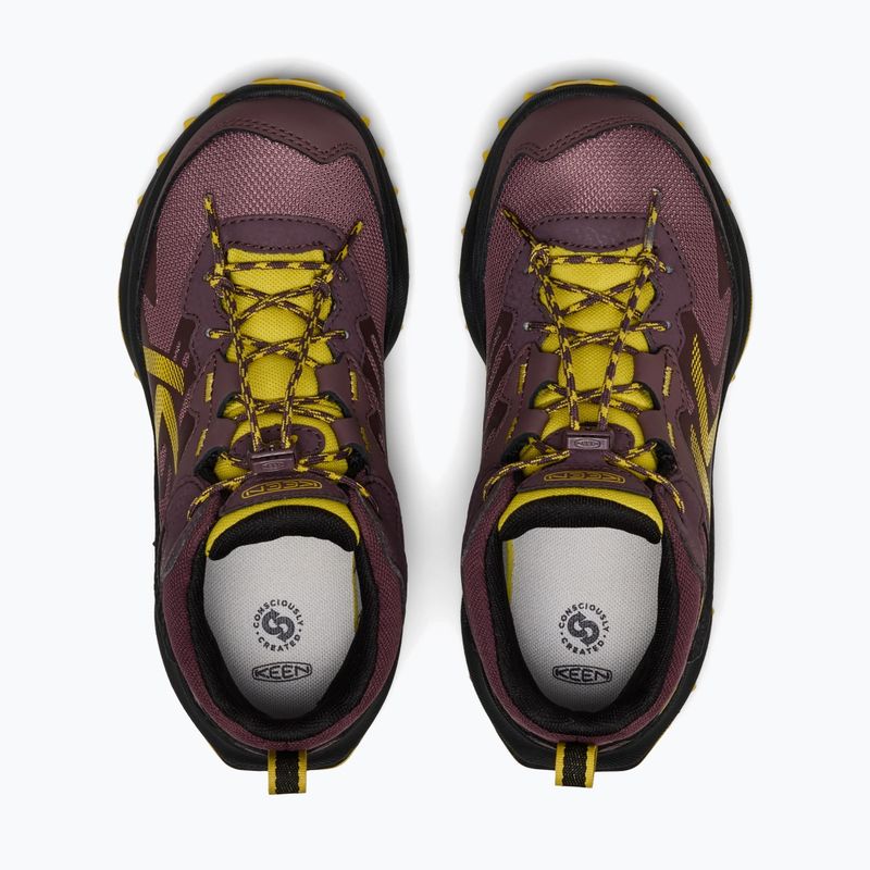 Взуття трекінгове дитяче KEEN Zionic Mid Wp huckleberry/mango mint 5