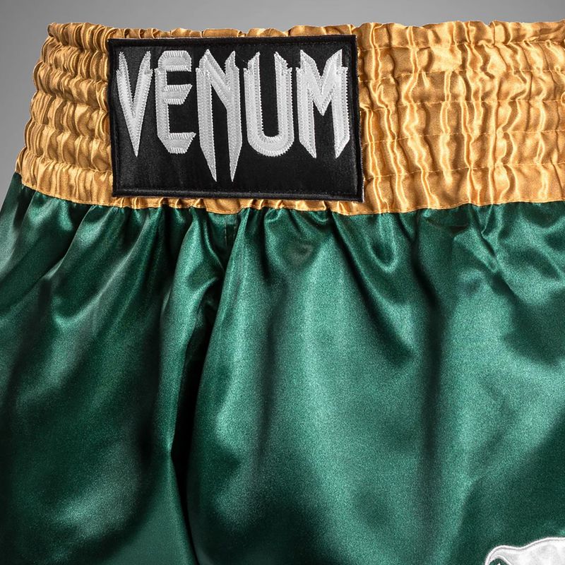 Чоловічі тренувальні шорти Venum Classic Muay Thai зелені/золоті/білі 6
