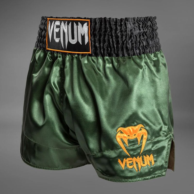 Шорти для тренувань чоловічі Venum Classic Muay Thai green/gold/black 3