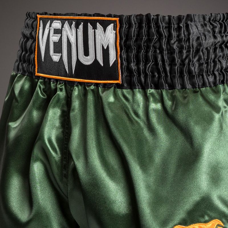 Шорти для тренувань чоловічі Venum Classic Muay Thai green/gold/black 4