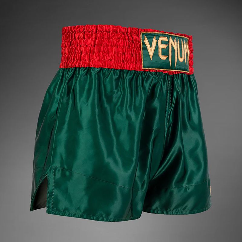 Чоловічі тренувальні шорти Venum Classic Muay Thai хакі 4