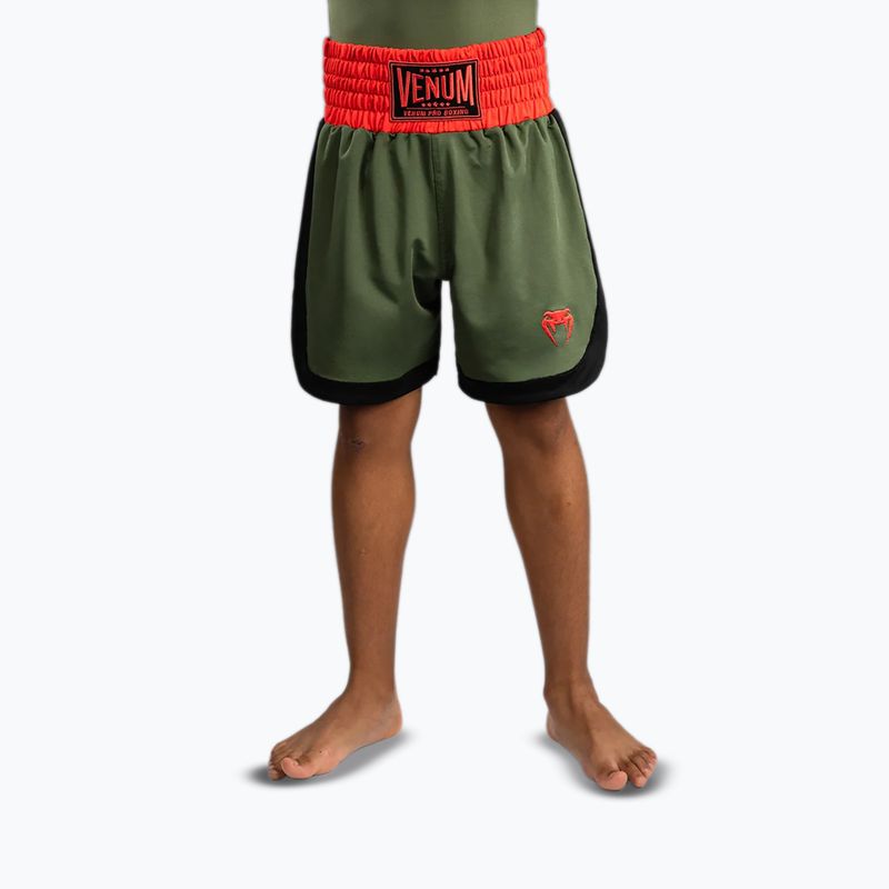 Шорти для тренувань дитячі Venum Classic khaki