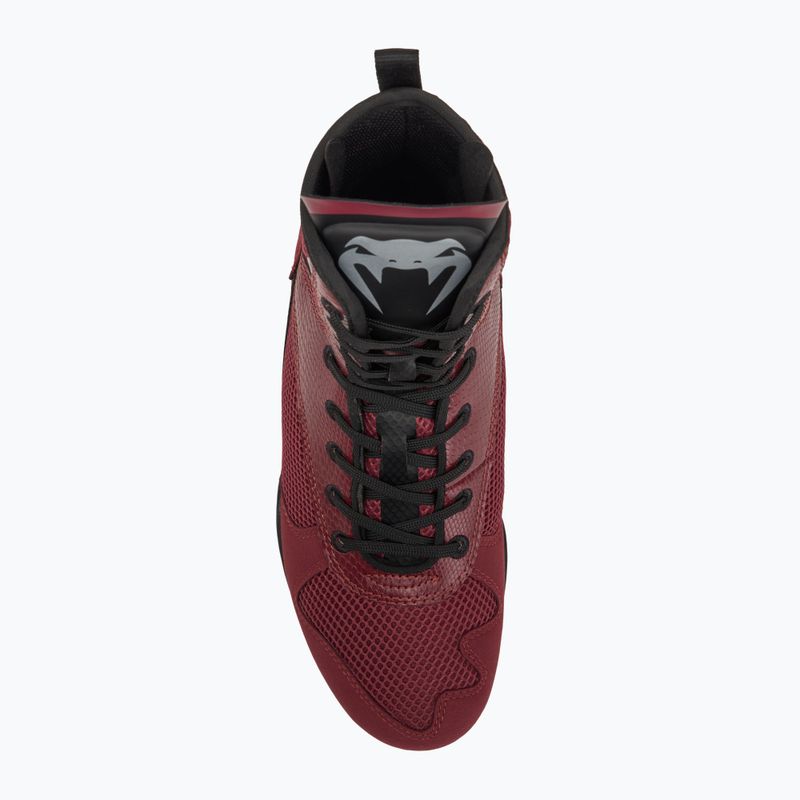 Кросівки боксерські Venum Elite Boxing wine lees/silver logo 5