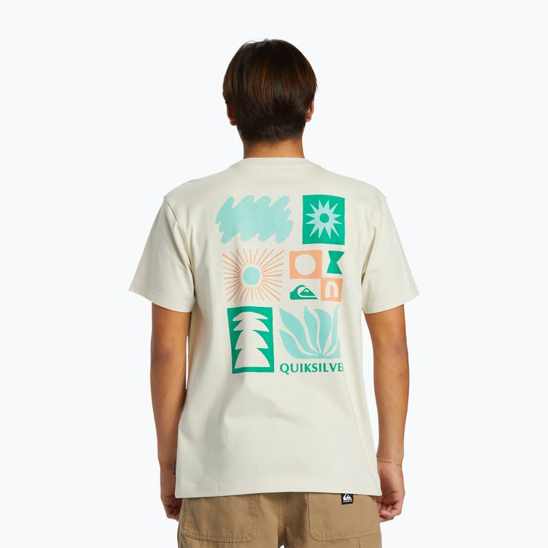 Чоловіча футболка Quiksilver Natural Forms Mor срібляста береза 2