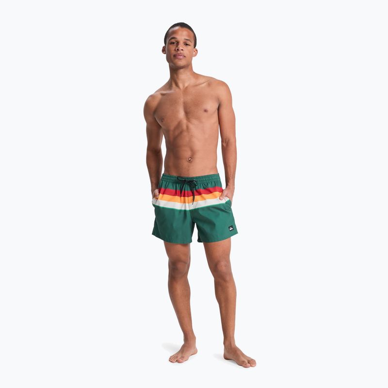 Шорти для плавання чоловічі Quiksilver Everyday Printed Volley 15" forest outside stripe 4