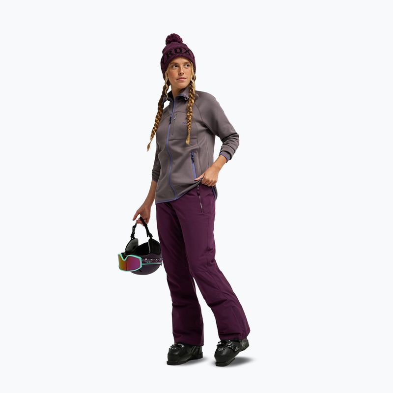 Штани для сноуборду жіночі ROXY Alpine Ridge blackberry wine 2