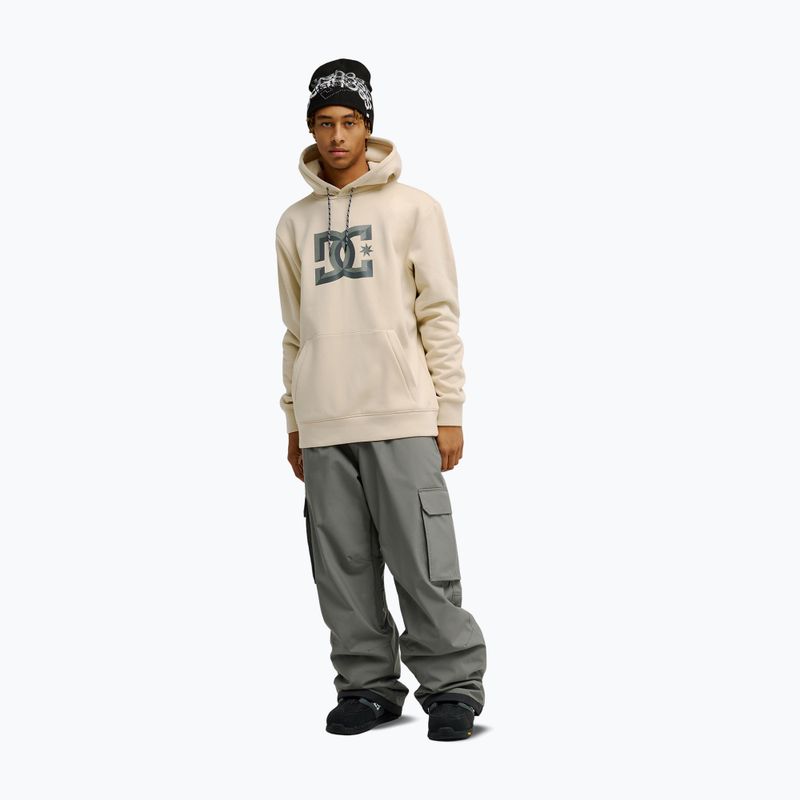 Кофта чоловіча DC Snowstar oatmeal 2