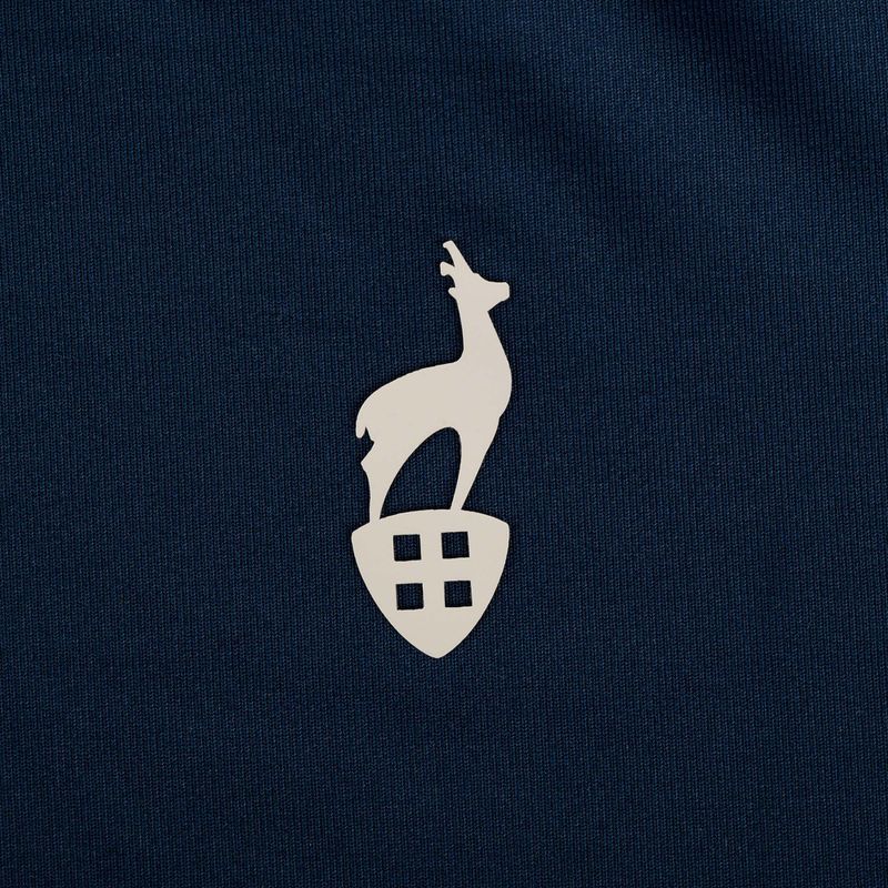 Футболка чоловіча Aulp Tommy navy 6
