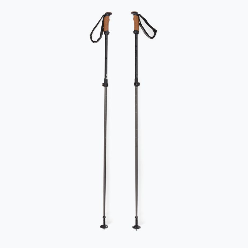 Лижні палиці Elan Voyager Rod чорні CD907620