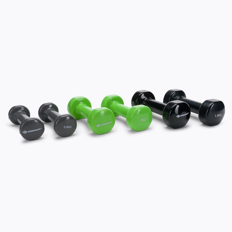 Набір гантелей Schildkröt set Vinyl Dumbbells in Suitcase 960010
