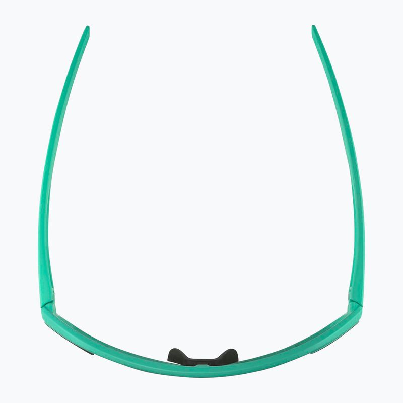 Окуляри сонцезахисні Alpina Bonfire turquoise matt/green 4
