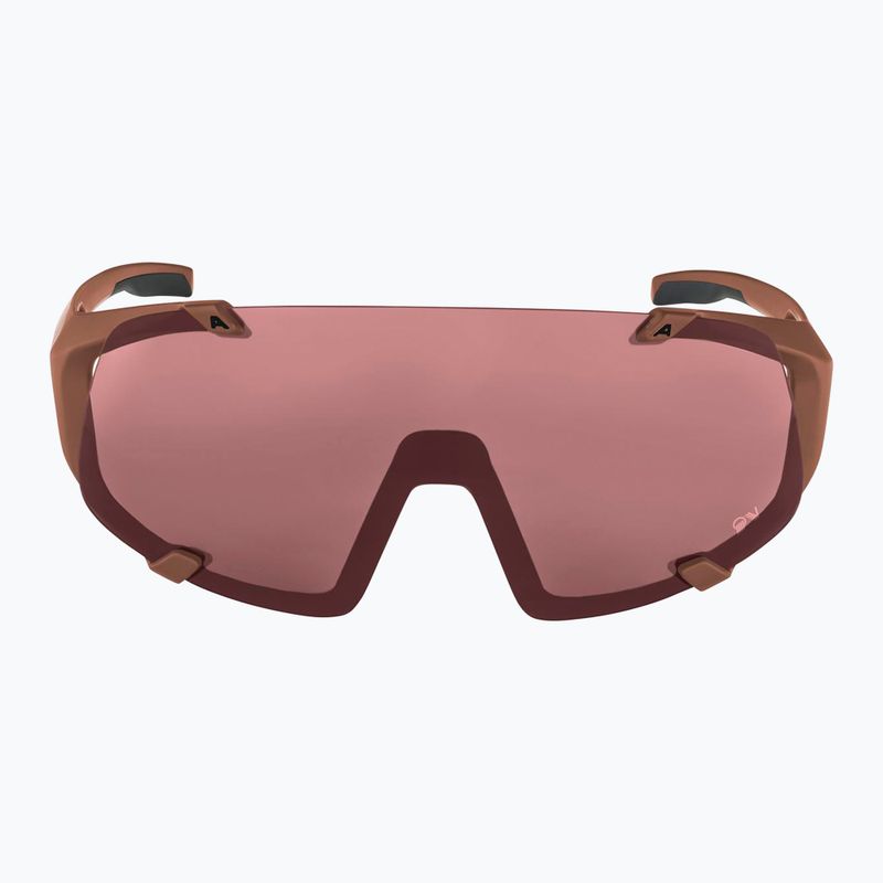 Окуляри сонцезахисні Alpina Hawkeye Q-Lite brick matt/black red mirror 2