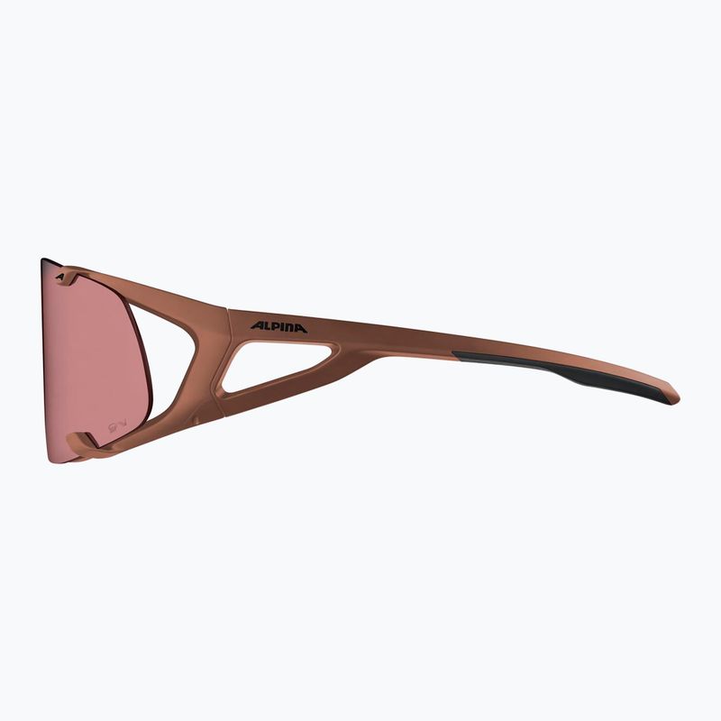 Окуляри сонцезахисні Alpina Hawkeye Q-Lite brick matt/black red mirror 3
