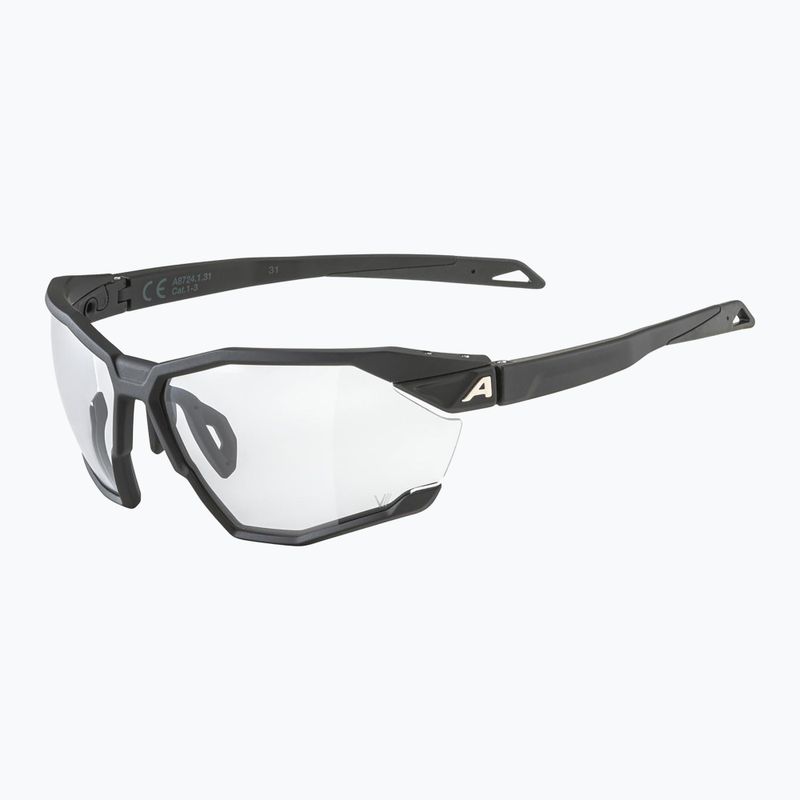 Окуляри сонцезахисні Alpina Twist Six V black matt/black 5