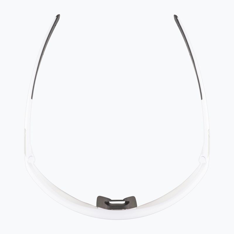 Сонцезахисні окуляри Alpina 6