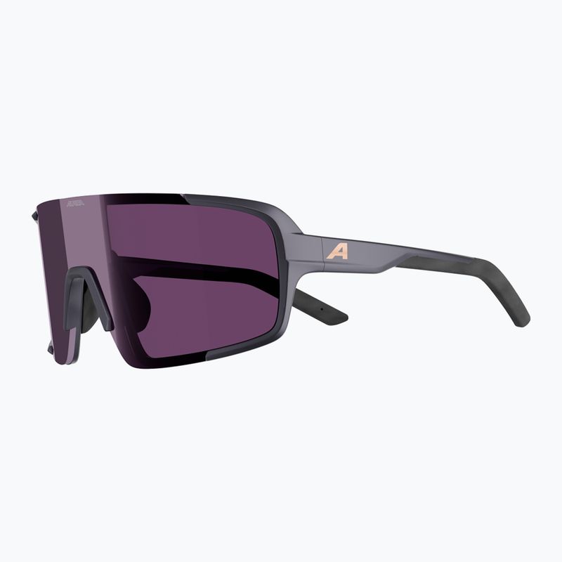 Окуляри сонцезахисні Alpina Lumin gun/metall matt/pink 4