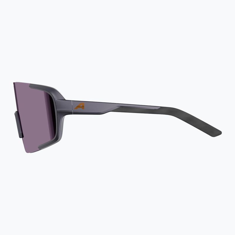 Окуляри сонцезахисні Alpina Lumin gun/metall matt/pink 5