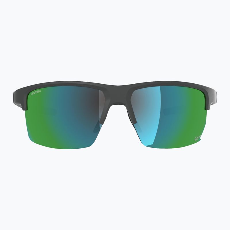 Окуляри сонцезахисні Alpina Eagle Q-Lite midnight/grey matt/green 2