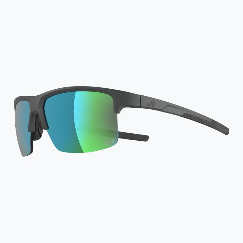Окуляри сонцезахисні Alpina Eagle Q-Lite midnight/grey matt/green 3