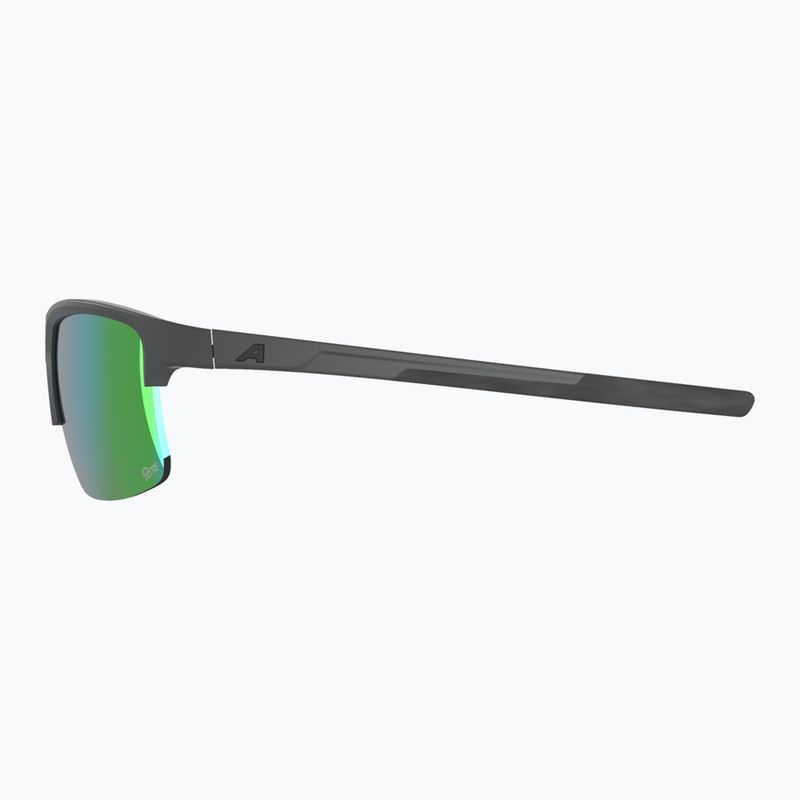 Окуляри сонцезахисні Alpina Eagle Q-Lite midnight/grey matt/green 5