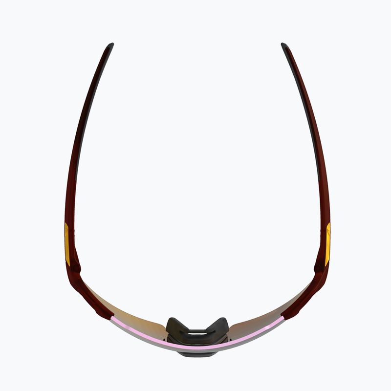 Окуляри сонцезахисні Alpina Turbo Air Q-Lite red transculent matt/gold mirror/pink 3