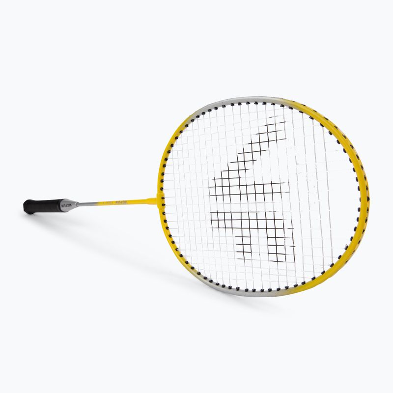 Набір для бадмінтону VICFUN Hobby Typ A yellow 3