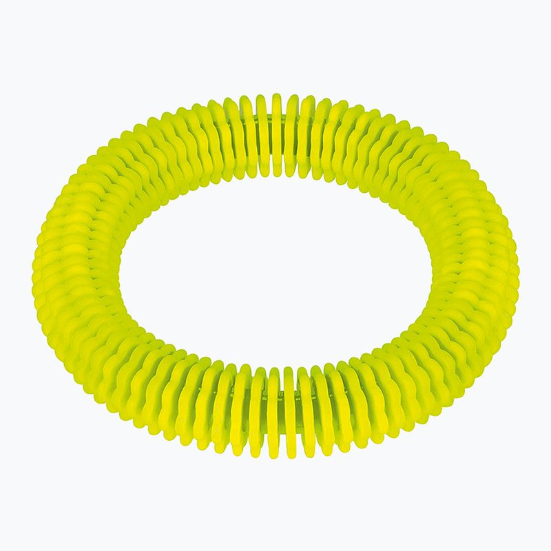 Іграшка для дайвінгу Fashy 4200 кільце neon green