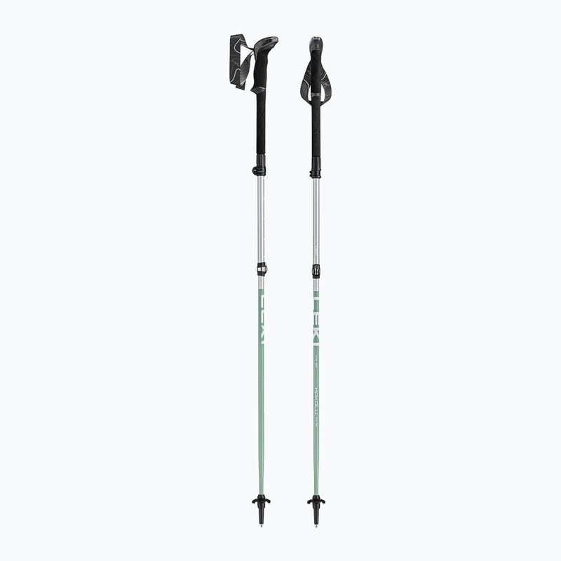 Палиці трекінгові LEKI Makalu FX TA silver/greygreen/white