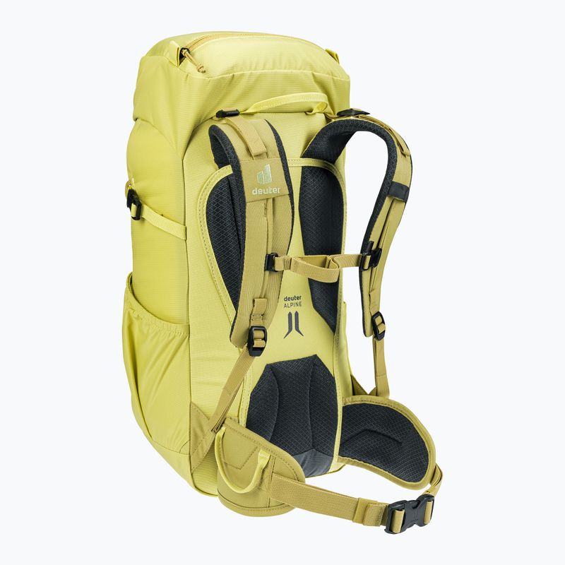 Дитячий туристичний рюкзак Deuter Climber 22 л паросток/липа 4