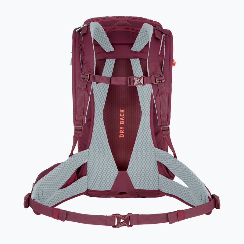 Рюкзак трекінговий жіночий Salewa Alp Trainer 20 l фіолетовий 00-0000001262 2