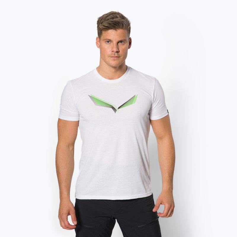 Футболка трекінгова чоловіча Salewa Lines Graphic Dry біла 00-0000028065