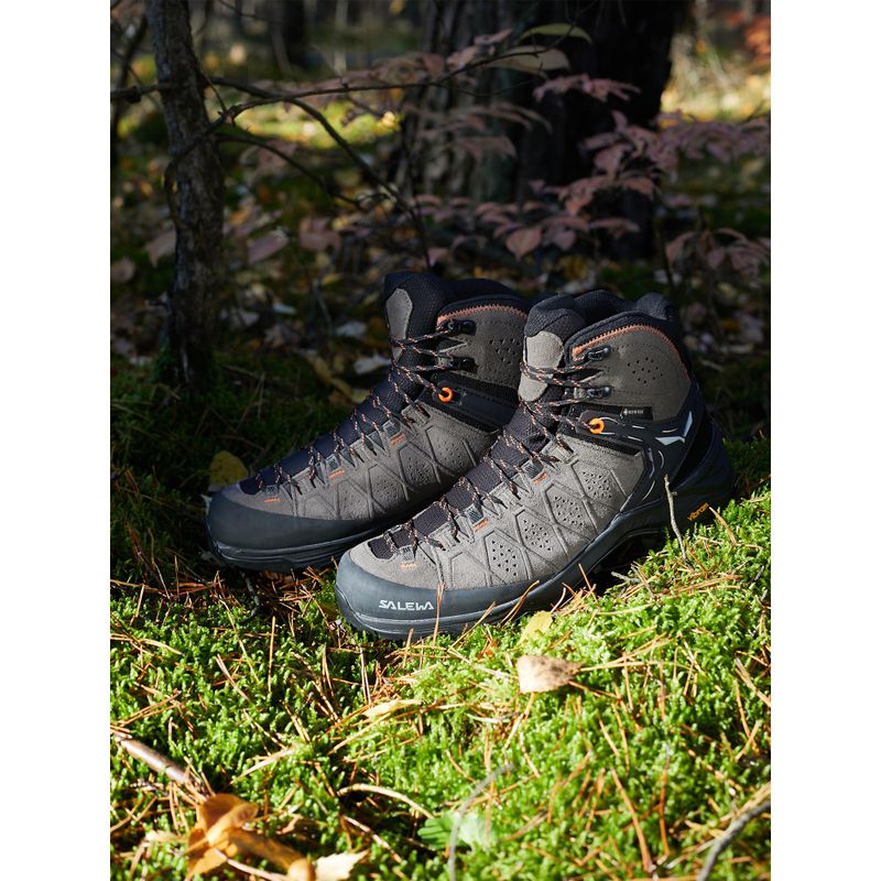 Черевики для трекінгу чоловіче Salewa Alp Trainer 2 Mid GTX коричневі 00-0000061382 12