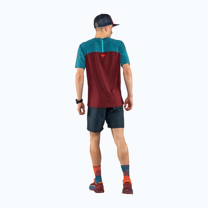 Футболка для бігу чоловіча DYNAFIT Alpine Pro syrah 2