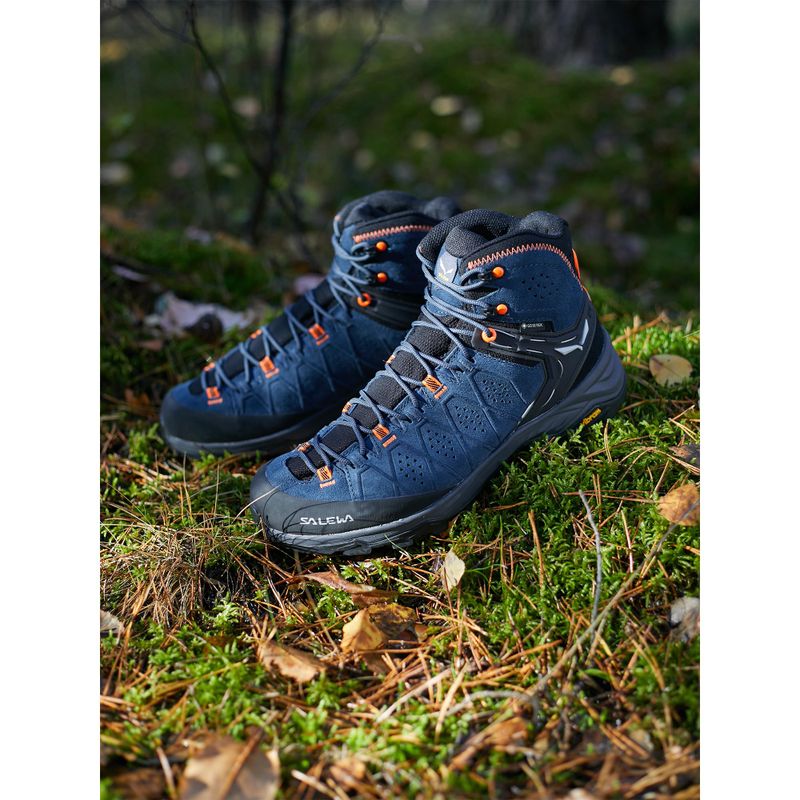 Черевики для трекінгу чоловічі Salewa Alp Trainer 2 Mid GTX блакитні 00-0000061382 10