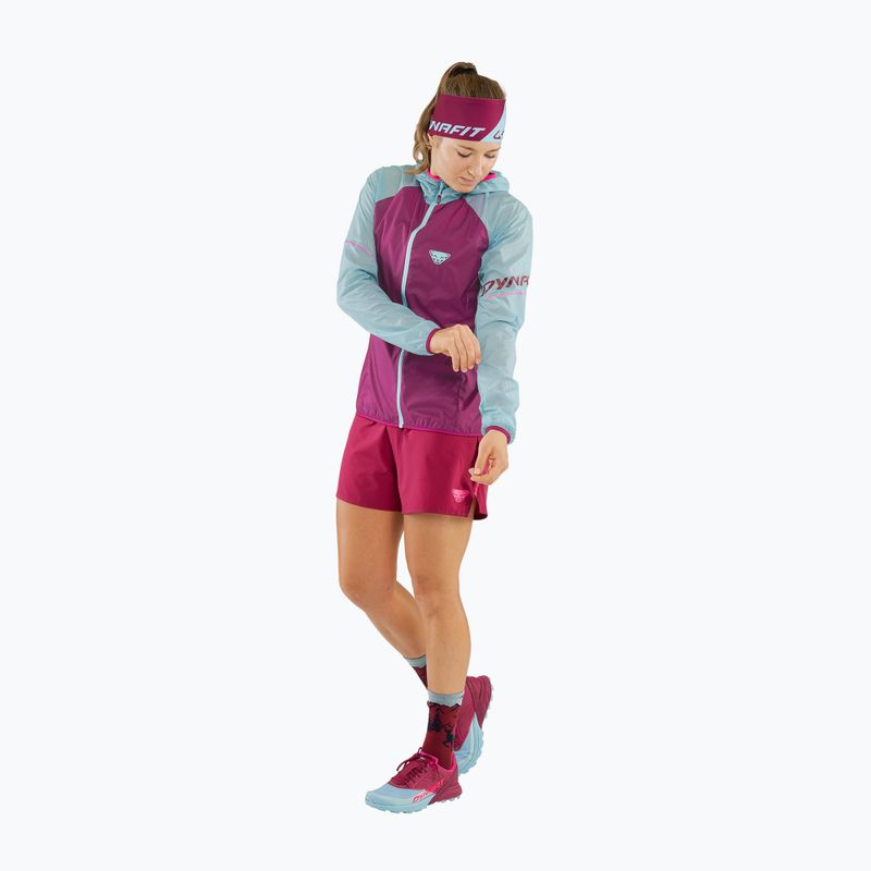 Куртка для бігу жіноча DYNAFIT Alpine Wind 2 marine blue/beet red