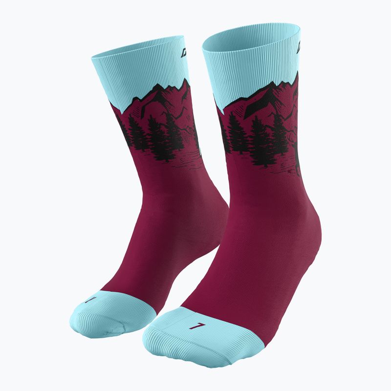 Шкарпетки для бігу DYNAFIT Stay Fast SK beet red
