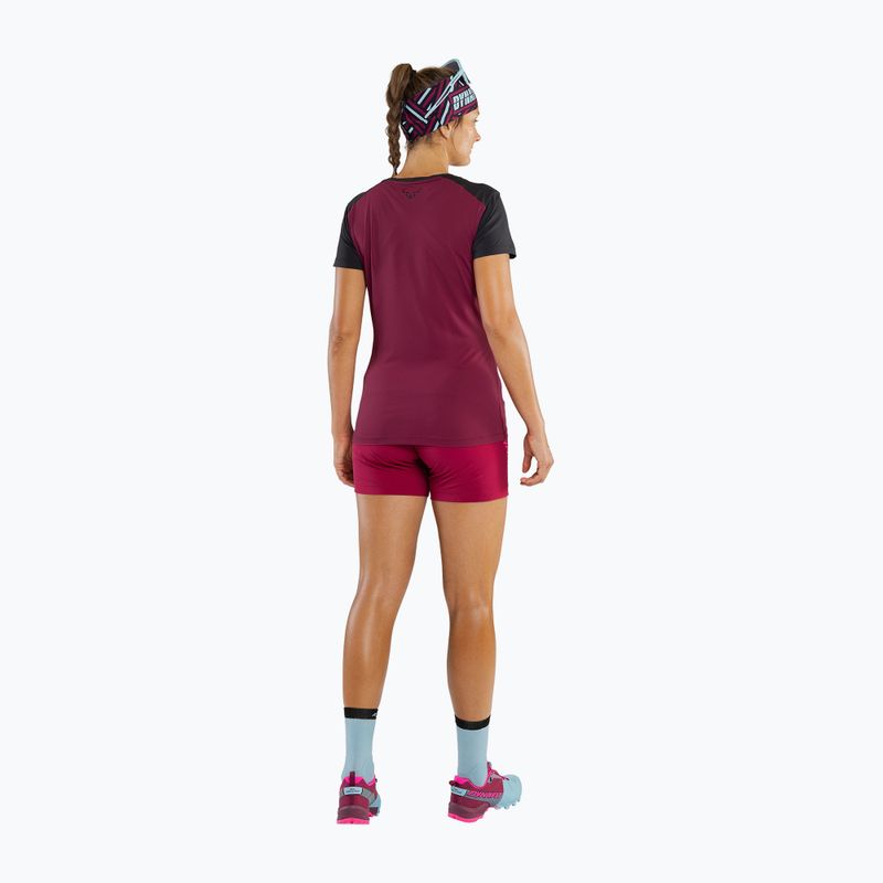 Футболка трекінгова жіноча DYNAFIT Transalper Light beet red 2