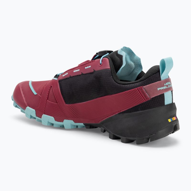 Кросівки для бігу DYNAFIT Traverse GTX beet red/black out 3