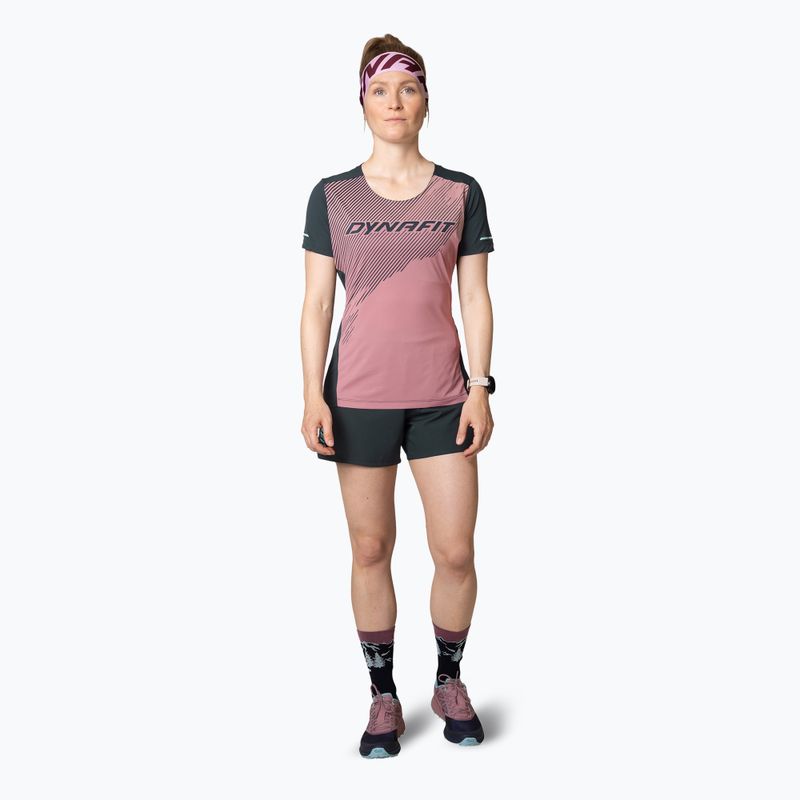 Футболка для бігу жіноча DYNAFIT Alpine 2 Tee mokarosa 2