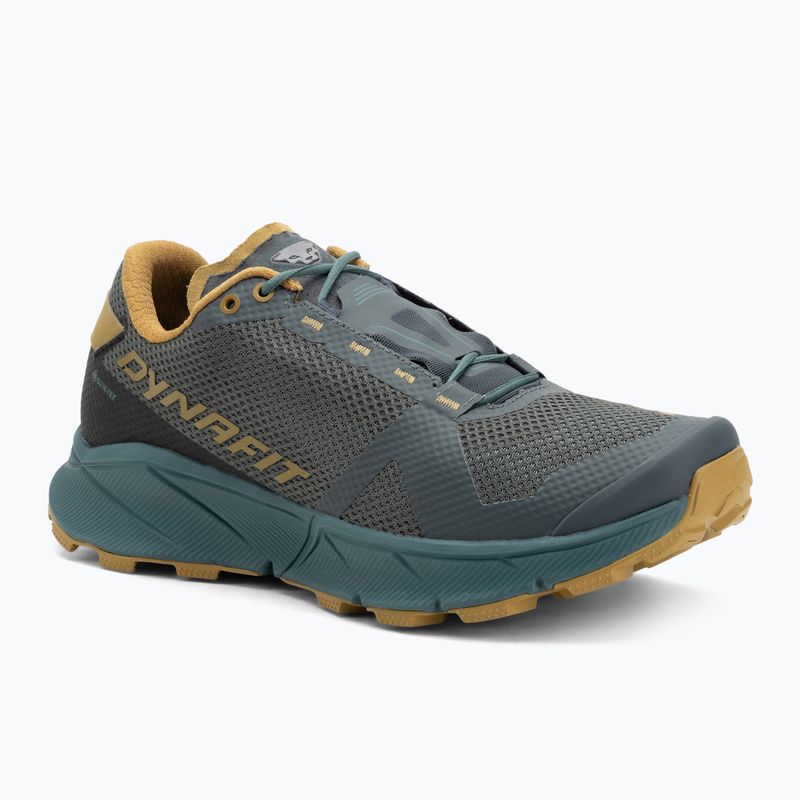 Чоловічі кросівки для бігу DYNAFIT Ultra 100 GTX lichen/atlantic