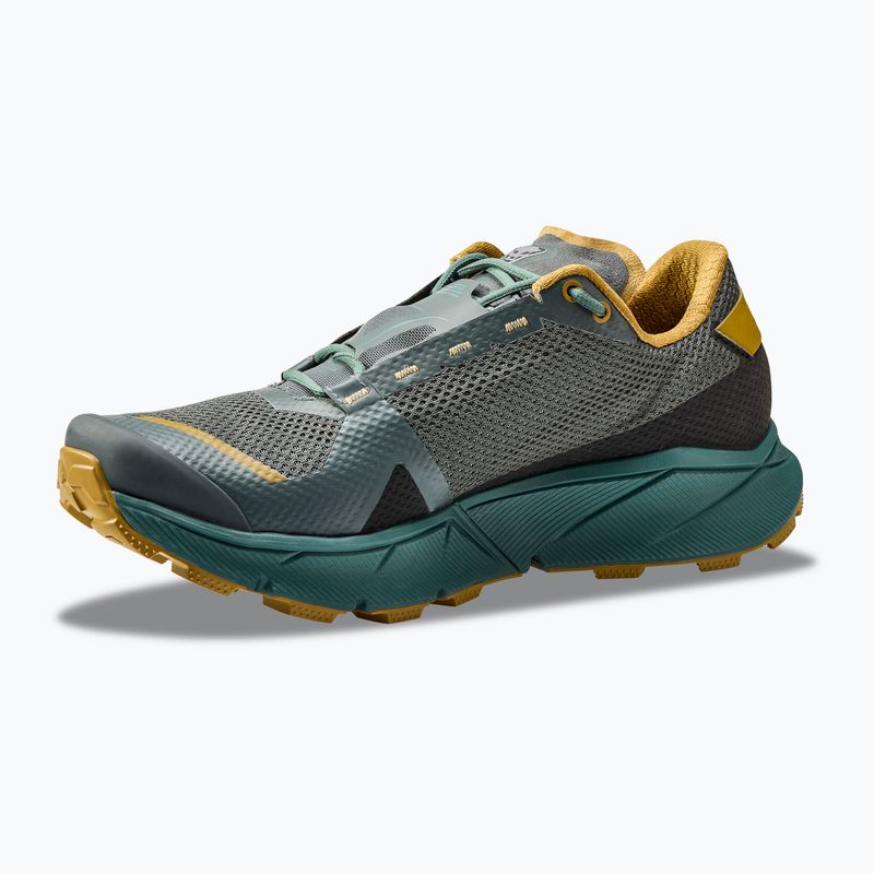 Чоловічі кросівки для бігу DYNAFIT Ultra 100 GTX lichen/atlantic 9