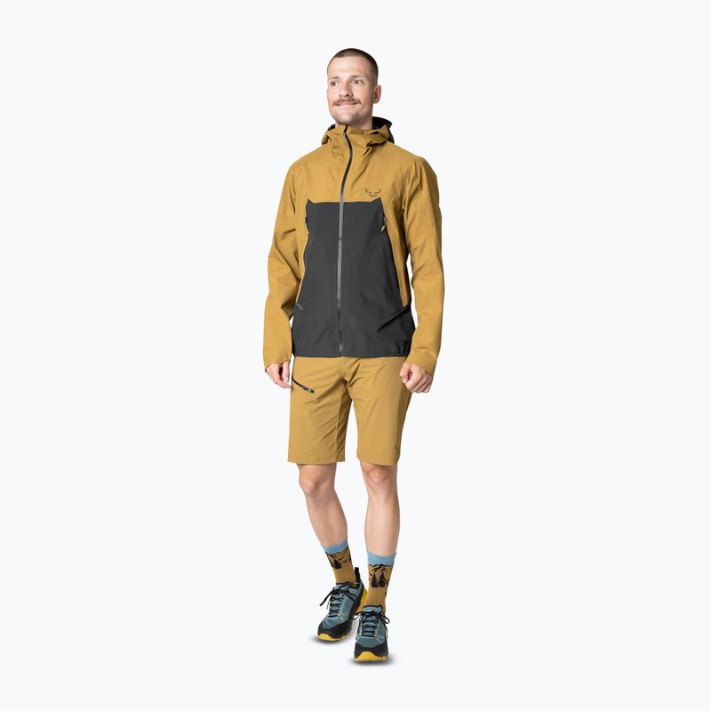 Куртка-дощовик чоловіча DYNAFIT Transalper GTX relic/0910 2